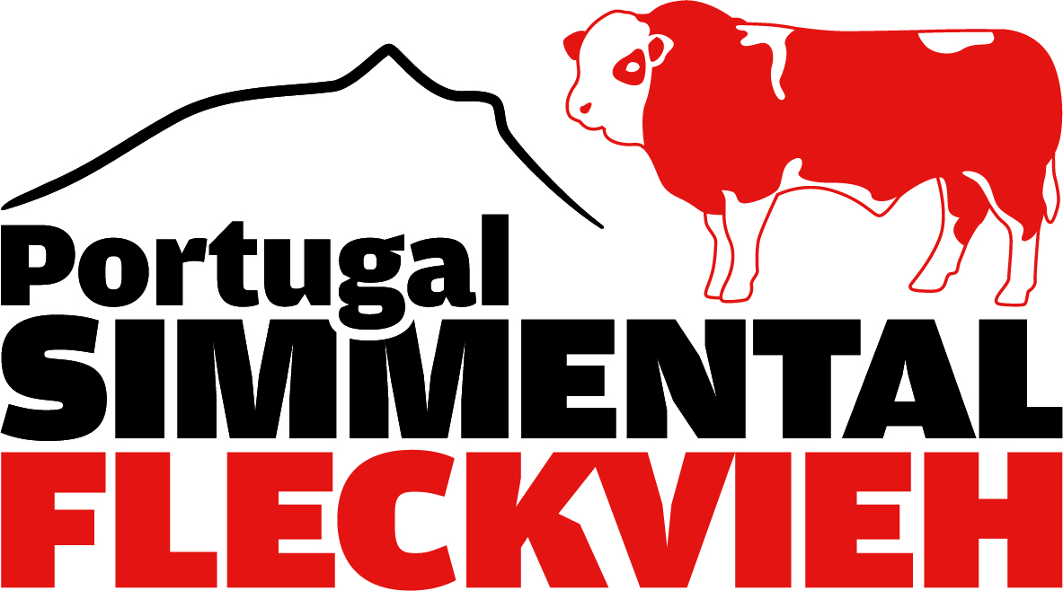 logotipo.jpg (1.03 MB)